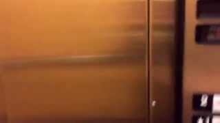 Most Magical Elevator Ride EVER!