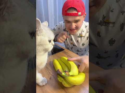 МНЕ НУЖЕН БАНАН
