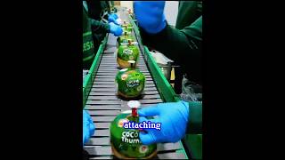 Thai Coconut Water Production Process