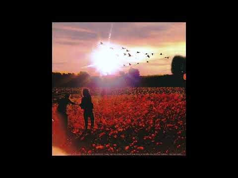 Portraits Of Tracy - Signals (Audio)