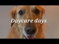 Daycare days with Finn!  July 14, 2025