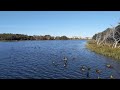 #32) St John's NL Canada:  Walking on Kents Pond and Prince Philip Drive [4K]