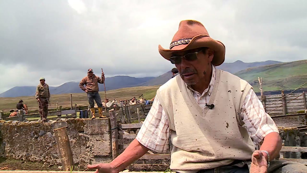 El Gran Rodeo Chagra | Programa 37 - Bloque 3 | Visión 360