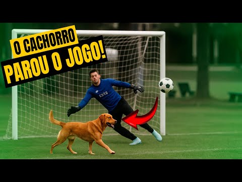 The dog invaded the game and nobody knew what to do 😂⚽