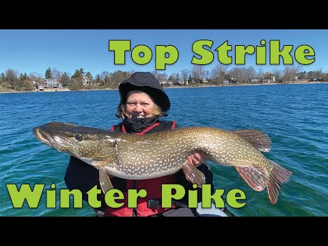 Top Strike Winter Pike - YouTube