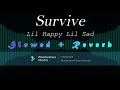 Survive - Lil Happy Lil Sad (Slowed + Reverb)