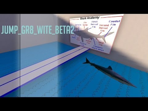 jump_gr8_ wite_beta2