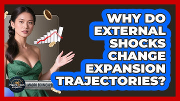 Why Do External Shocks Change Expansion Trajectories? - Macroecon Experts
