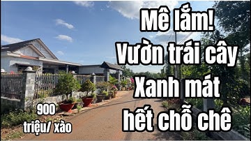 Gia đình khó khăn đành bán bớt đất vườn vô cùng tâm huyết đang trồng cây trái xanh tốt ở BRVT