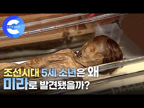 소년 미라를 통해 알 수 있는 과학적 사실은 무엇일까?