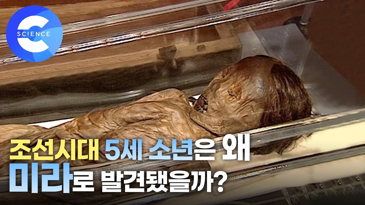 소년 미라를 통해 알 수 있는 과학적 사실은 무엇일까?