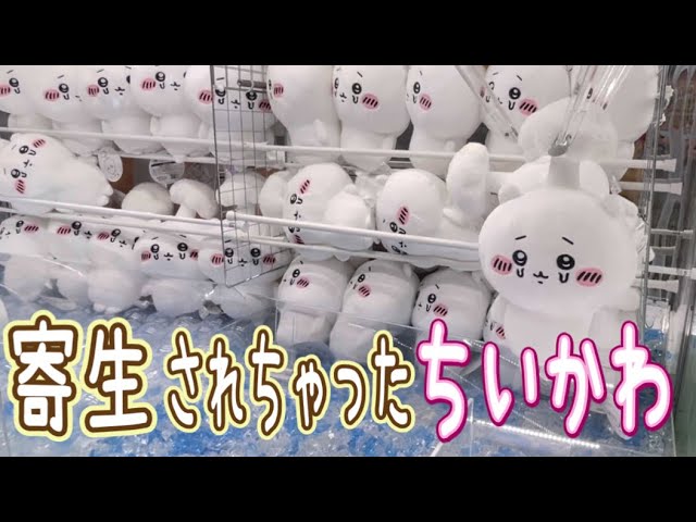 ちいかわフレンズ2寄生されちゃったちいかわキノコ【期間限定セール中