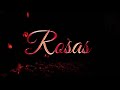 Video de Las Rosas
