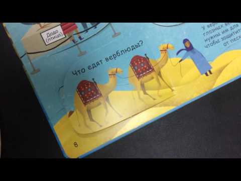 "Интересный мир животных", буктрейлер на книгу "Вопросы и Ответы о животных" (автор Кэйти Дэйнс) "Интересный мир животных", буктрейлер на книгу "Вопросы и Ответы о животных" (автор Кэйти Дэйнс)