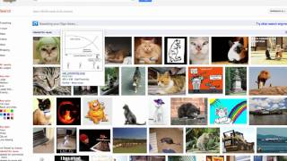 How To: Google Advanced Image Search screenshot 2