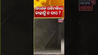 ଆପଣଙ୍କ ପାଣି ଟାଙ୍କିରେ ନାହାନ୍ତି ତ ସାପ ?Snake In Water Tank | 27 Snakes Found In Water Tank In Haridwar