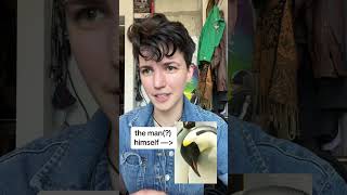 do penguins have gender? no, but,