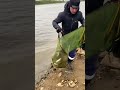 Трофейный лещ на фидер — улов, который стоит увидеть! 🎣