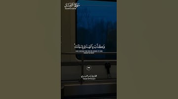 #سورة_الزمر ||حالات واتس قرآن ||القارئ#ياسر_الدوسري #المصحف #لايك #راحة_نفسية #تلاوة_هادئة