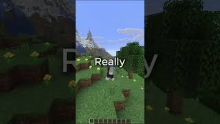 Wavy Capes In Minecraft