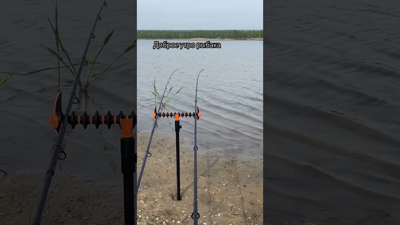 Карп на фидер 