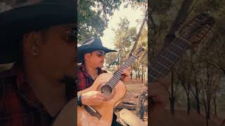 Vídeo de Pagode Brasileiro