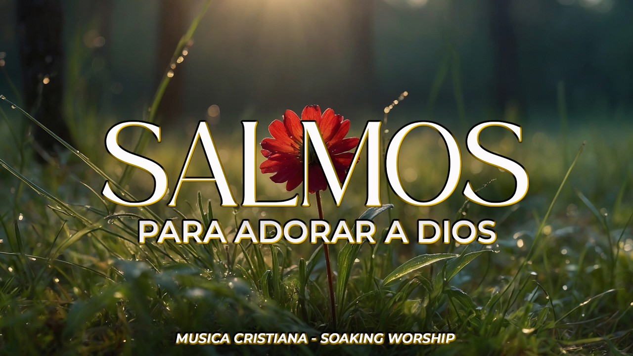 SALMOS CANTADOS 🙏✨ | Para Buscar a Dios con Todo el Corazón | Intimidad y Adoración en Su Presencia