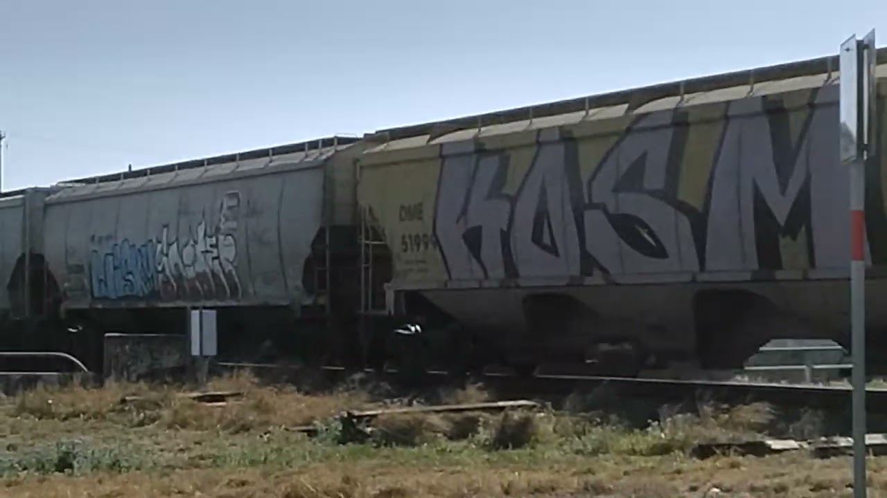 KCS 4141 LEADS A GRAIN TRAIN IN Calallen