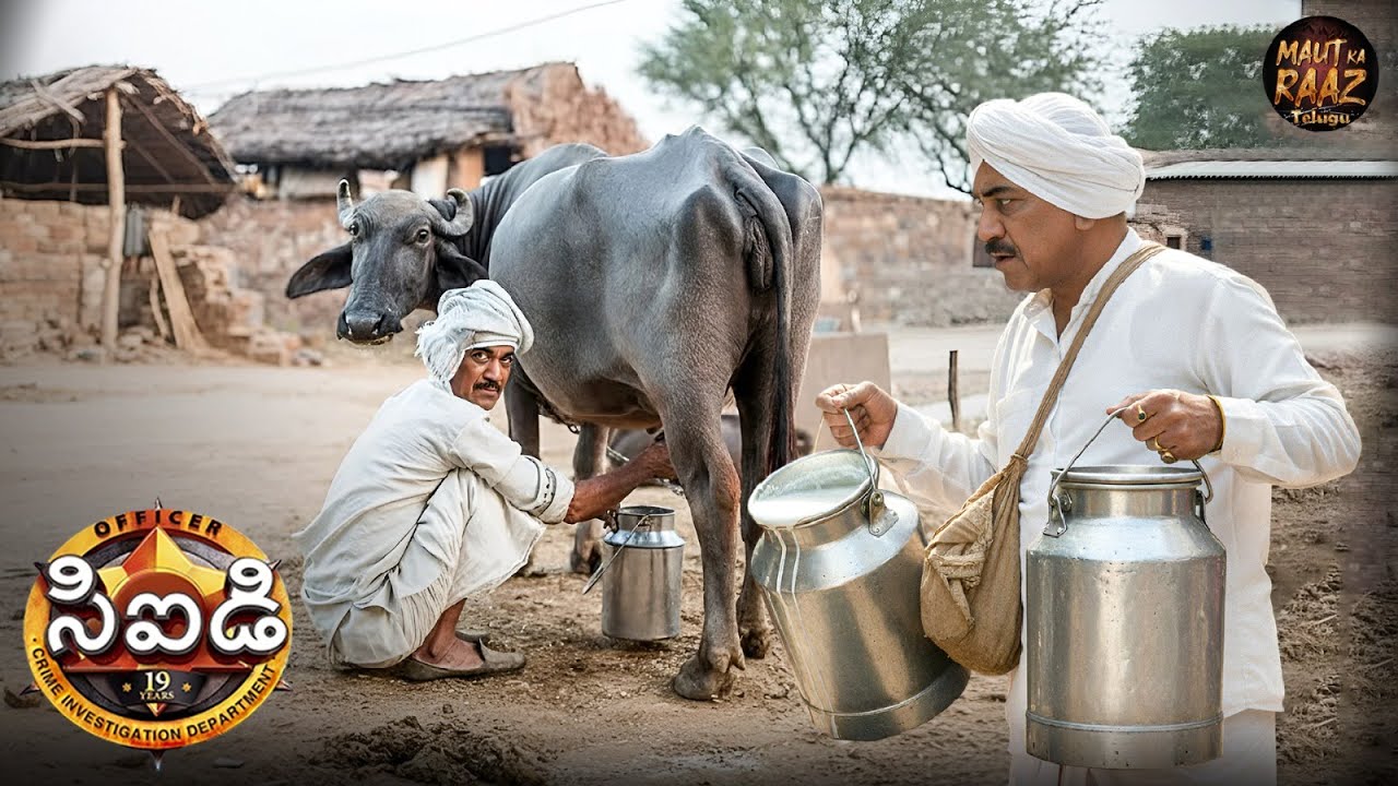 కతీల్ పై నిఘా పెట్టడానికి ACP పాల వ్యాపారిలా నటిస్తాడు | CID Telugu | New Episode 2025