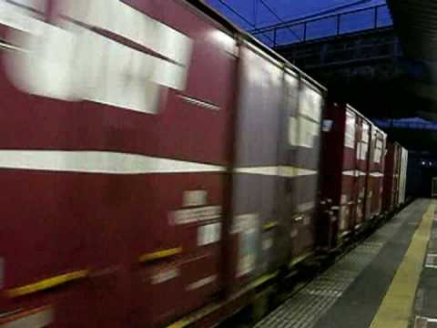 JR貨物　EF65 1000番台　新秋津駅を通過