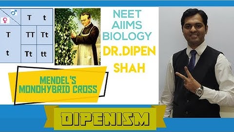 Monohybrid Cross Experiment || Principles of Inheritance | Class 12 CBSE #NEET #Biology #Dipenism