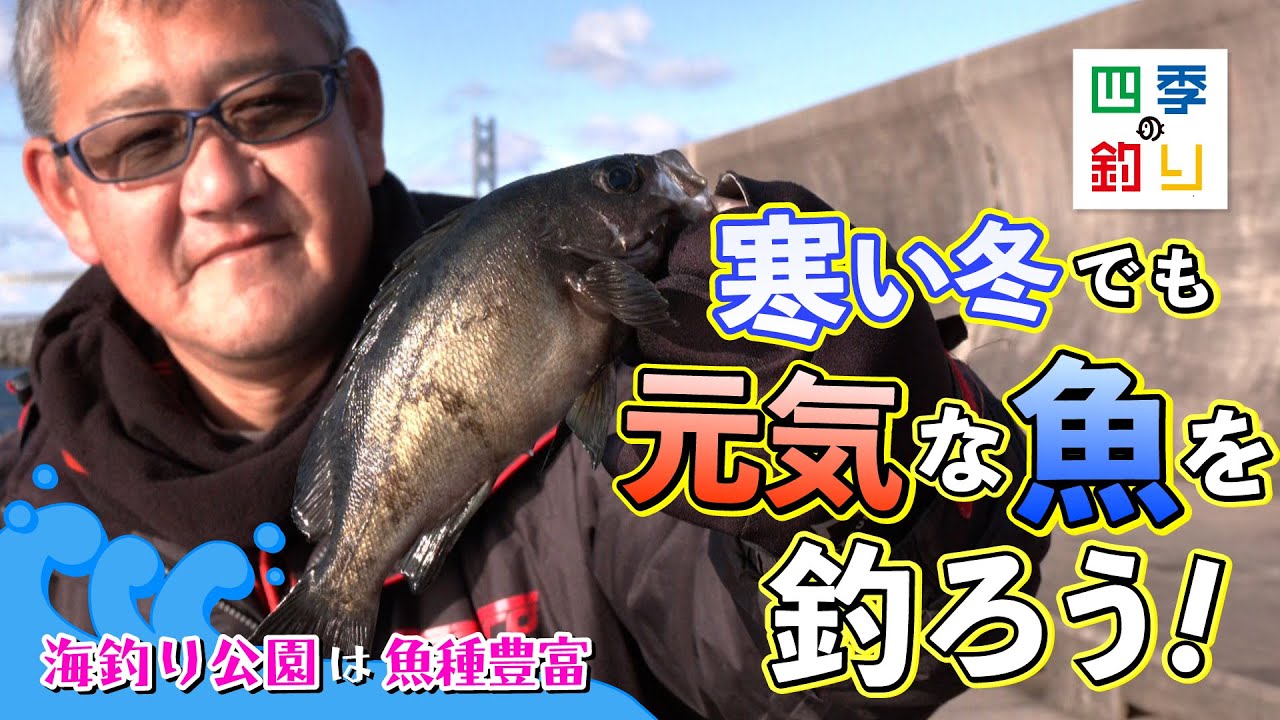 海釣り公園は魚種豊富　寒い冬でも元気な魚を釣ろう！（四季の釣り/2024年1月26日放送）