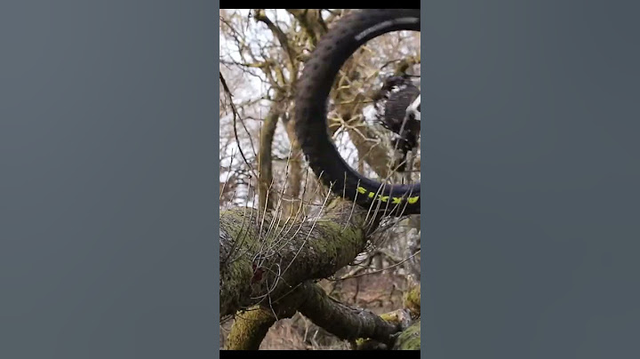Fat Bikes Can Do What?