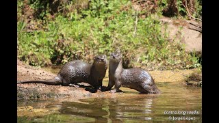 Parque Nacional Mburucuyá - Corrientes - Argentina
