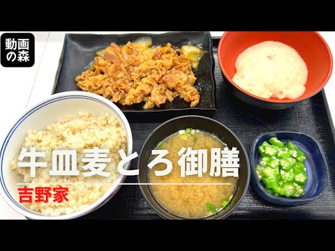 【吉野家】牛皿麦とろ御膳【定食】