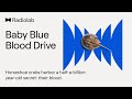 Baby Blue Blood Drive | Radiolab Podcast