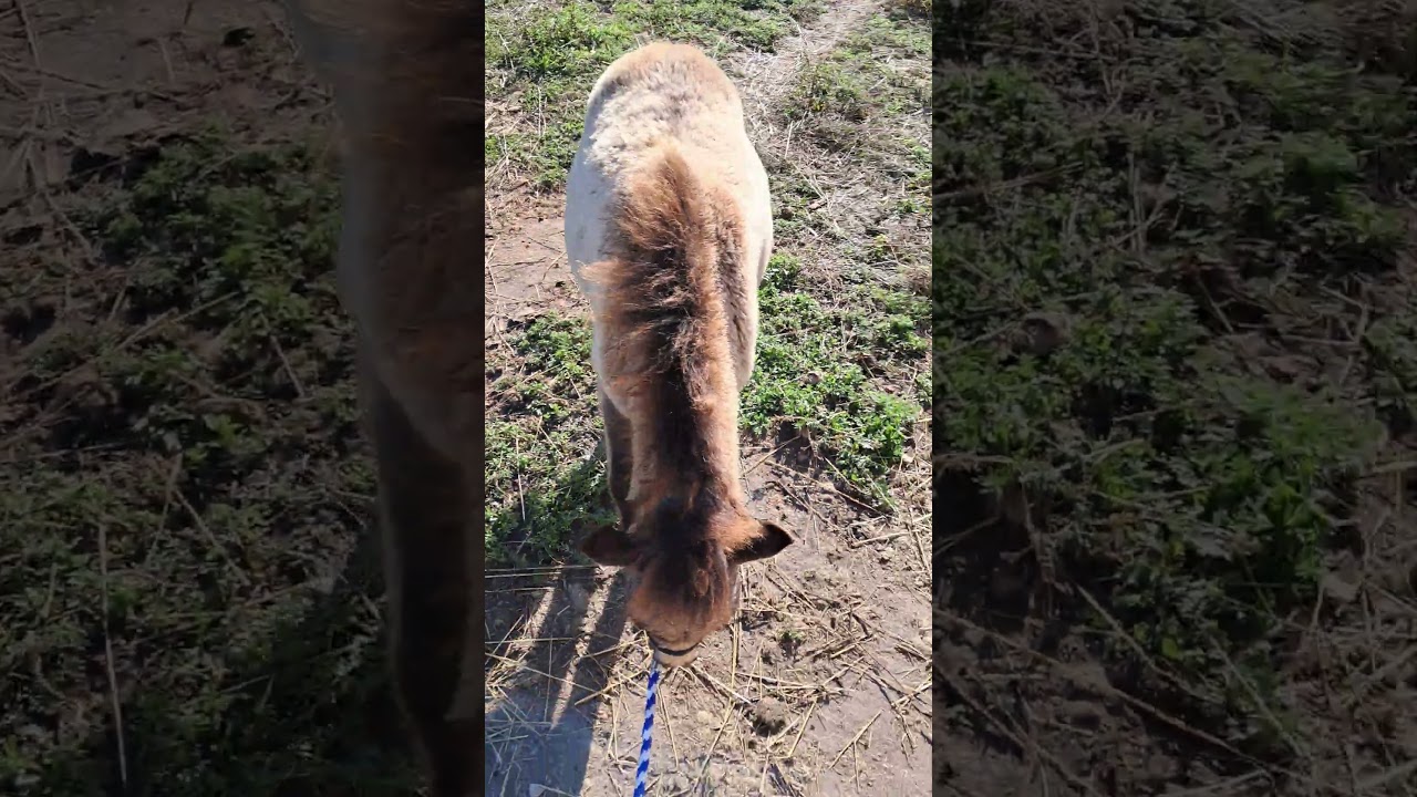 Gorgeous Sass ❤️