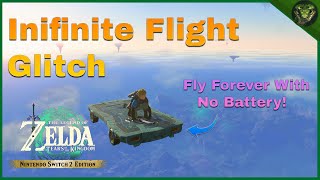 NEW Infinite Flight Glitch for Tears of the Kingdom