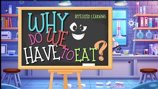 Why Do We Have to Eat? | Fun Facts About Food and Nutrition | Educational Video for Kids