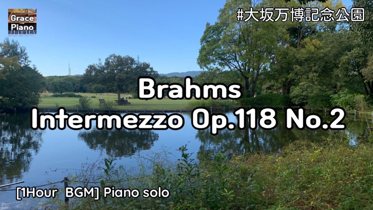 [1Hour] Brahms Intermezzo Op.118 No.2 연속듣기 