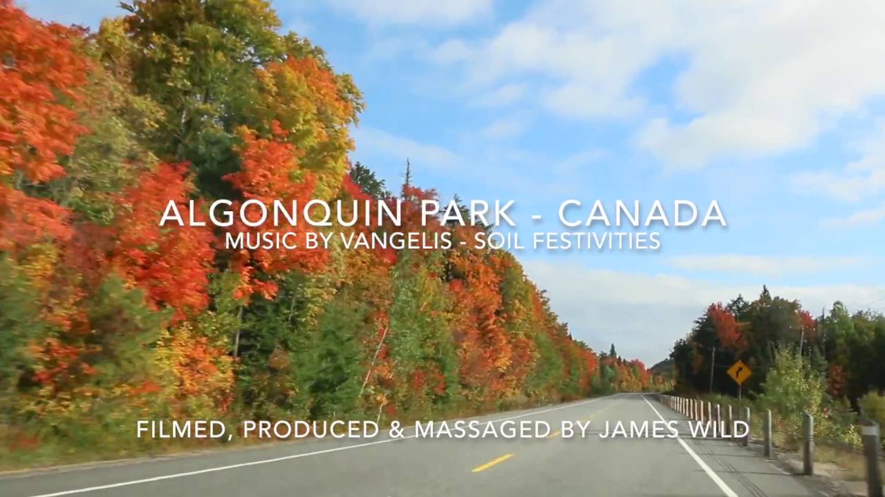 Stunning Drive Through Algonquin Park, Canada YouTube