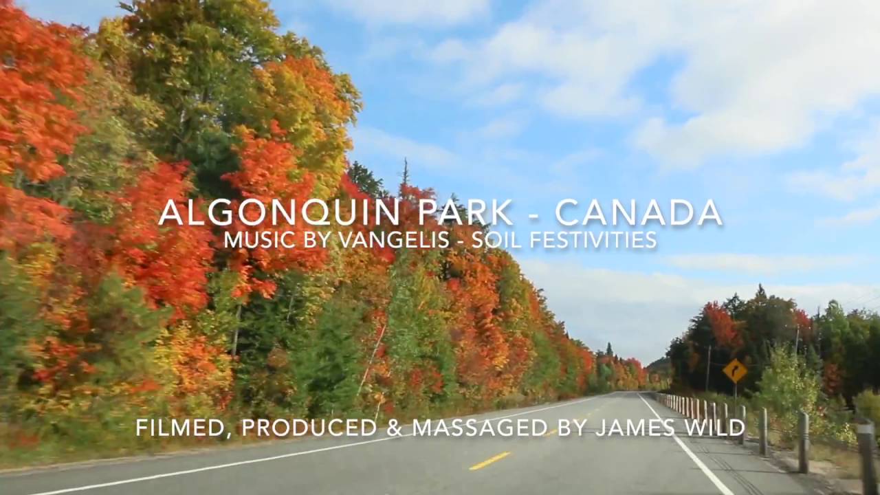 algonquin park driving tour