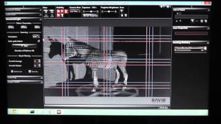 3D-Scanning Tutorial David Laserscanner 3.7 and VirtuCube