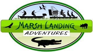 Florida Airboat Tours - Marsh Landing Adventures Florida Airboat Tours