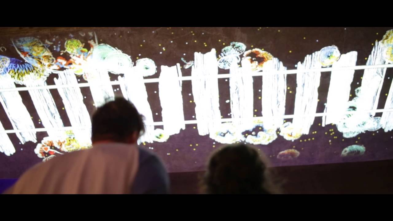 Friday Night Laneways, Organic Data (30s cut)