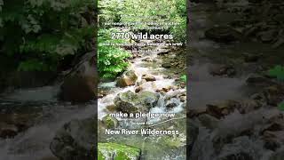 Pledge Now to Help Protect 2770 Acres near the New River Gorge