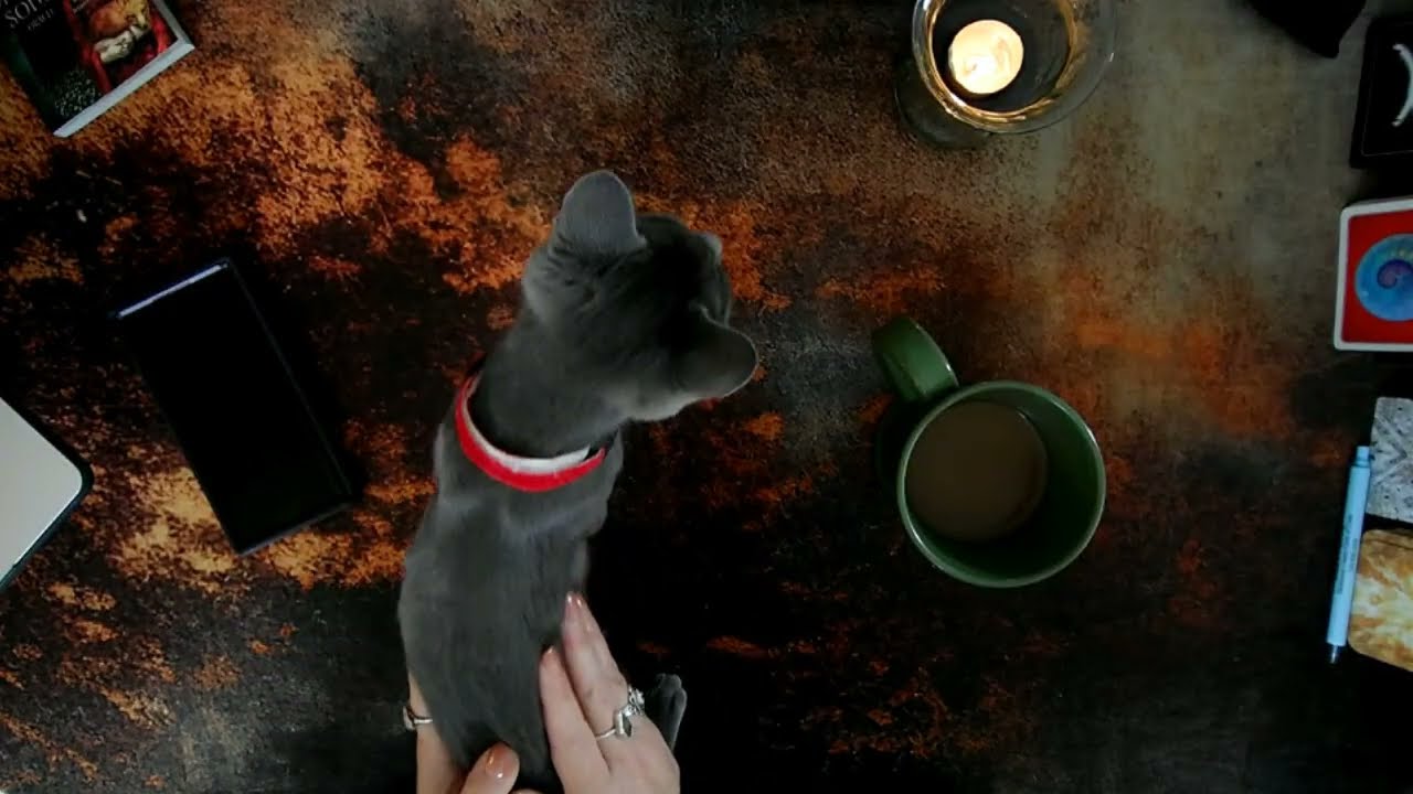 Представляем Рэмбо