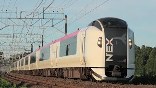 E259系 横クラNe020編成 特急成田エクスプレス40号 大船・大宮行 物井～佐倉通過【4K】