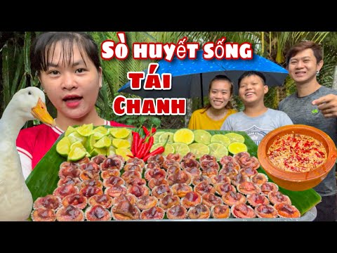 Video Lần Đầu Ăn SÒ HUYẾT SỐNG TÁI CHANH Chấm Muối Ớt Liệu... - youtube