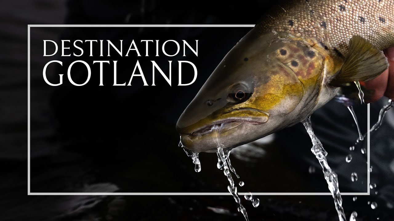 WILD FISH STORIES presents | Destination Gotland